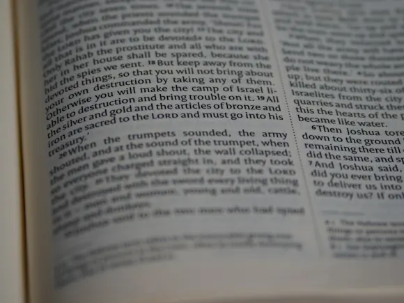 Kazino Grand Eagle Atbalsts